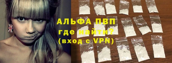 стаф Белокуриха