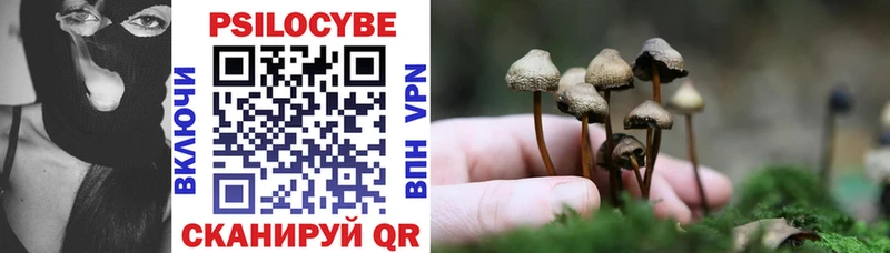 закладки  Сегежа  Галлюциногенные грибы Psilocybe 